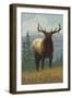 Estes Park, Colorado, Elk Scene-Lantern Press-Framed Art Print