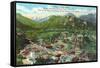 Estes Park Resort Town-null-Framed Stretched Canvas
