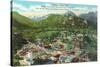 Estes Park Resort Town-null-Stretched Canvas