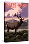 Estes Park Village, Colorado - Elk and Sunset-Lantern Press-Stretched Canvas