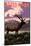 Estes Park Village, Colorado - Elk and Sunset-Lantern Press-Mounted Art Print