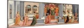 Esther before Ahasuerus, 1478-1480-Filippino Lippi-Mounted Premium Giclee Print