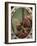 Esther Conducted to Ahasuerus-Paolo Veronese-Framed Giclee Print