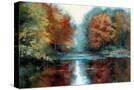 Stretched Canvas