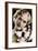 Esther Ralston (1902-199), American Actress, 20th Century-null-Framed Giclee Print