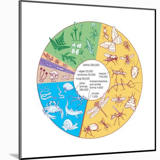 Estimated Number of known Living Species. Biosphere, Earth Sciences-Encyclopaedia Britannica-Mounted Poster