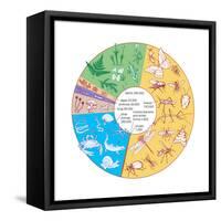 Estimated Number of known Living Species. Biosphere, Earth Sciences-Encyclopaedia Britannica-Framed Stretched Canvas