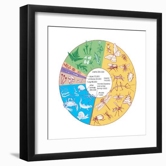 Estimated Number of known Living Species. Biosphere, Earth Sciences-Encyclopaedia Britannica-Framed Art Print