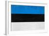 Estonia Flag Design with Wood Patterning - Flags of the World Series-Philippe Hugonnard-Framed Art Print