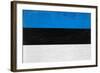 Estonia Flag Design with Wood Patterning - Flags of the World Series-Philippe Hugonnard-Framed Art Print