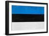 Estonia Flag Design with Wood Patterning - Flags of the World Series-Philippe Hugonnard-Framed Art Print