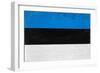 Estonia Flag Design with Wood Patterning - Flags of the World Series-Philippe Hugonnard-Framed Art Print