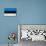 Estonia Flag Design with Wood Patterning - Flags of the World Series-Philippe Hugonnard-Mounted Art Print displayed on a wall