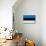 Estonia Flag Design with Wood Patterning - Flags of the World Series-Philippe Hugonnard-Mounted Art Print displayed on a wall