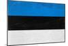 Estonia Flag Design with Wood Patterning - Flags of the World Series-Philippe Hugonnard-Mounted Art Print