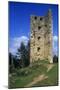 Estonia, Vastseliina, Ruins of 14th Century Castle-null-Mounted Giclee Print