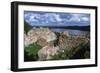 Estonia, Viljandi County, Ruins of 13th Century Castle-null-Framed Giclee Print