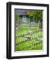 Estonia, Western Estonia Islands, Muhu Island, Koguva, Muhu Open Air Museum, Gate-Walter Bibikow-Framed Photographic Print