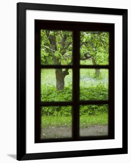 Estonia, Western Estonia Islands, Muhu Island, Koguva, Muhu Open Air Museum-Walter Bibikow-Framed Photographic Print