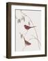 Estrelda Phaeton-John Gould-Framed Giclee Print