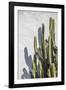 Estremoz-Alan Copson-Framed Giclee Print