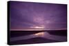 Estuarine River Inlet Running across Mudflats at Dawn, Morecambe Bay, Cumbria, UK, February-Peter Cairns-Stretched Canvas