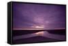 Estuarine River Inlet Running across Mudflats at Dawn, Morecambe Bay, Cumbria, UK, February-Peter Cairns-Framed Stretched Canvas