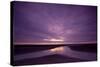 Estuarine River Inlet Running across Mudflats at Dawn, Morecambe Bay, Cumbria, UK, February-Peter Cairns-Stretched Canvas