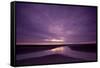 Estuarine River Inlet Running across Mudflats at Dawn, Morecambe Bay, Cumbria, UK, February-Peter Cairns-Framed Stretched Canvas