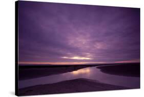 Estuarine River Inlet Running across Mudflats at Dawn, Morecambe Bay, Cumbria, UK, February-Peter Cairns-Stretched Canvas