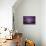 Estuarine River Inlet Running across Mudflats at Dawn, Morecambe Bay, Cumbria, UK, February-Peter Cairns-Photographic Print displayed on a wall