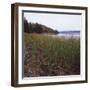 Estuary II-Studio 2-Framed Photographic Print