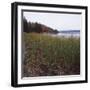 Estuary II-Studio 2-Framed Photographic Print