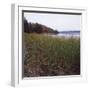 Estuary II-Studio 2-Framed Photographic Print