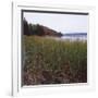 Estuary II-Studio 2-Framed Photographic Print