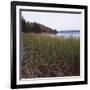 Estuary II-Studio 2-Framed Photographic Print