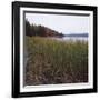 Estuary II-Studio 2-Framed Photographic Print