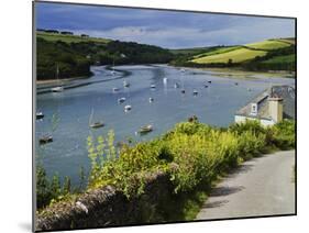 Estuary of the River Avon, Bantham, Bigbury on Sea, Devon, England, United Kingdom, Europe-David Hughes-Mounted Photographic Print