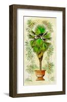 Estudio de Palmeras I-A^ Vega-Framed Art Print