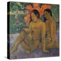 Et L`Or De Leur Corps 1901-Paul Gauguin-Stretched Canvas