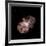 Eta Carinae, Hubble Image-null-Framed Photographic Print