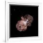 Eta Carinae, Hubble Image-null-Framed Photographic Print