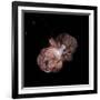 Eta Carinae, Hubble Image-null-Framed Photographic Print