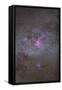 Eta Carinae Nebula Area of the Southern Milky Way-null-Framed Stretched Canvas