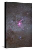 Eta Carinae Nebula Area of the Southern Milky Way-null-Stretched Canvas