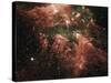 Eta Carinae Nebula-null-Stretched Canvas