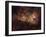 Eta Carinae-Stocktrek Images-Framed Photographic Print