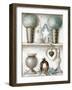 Etagere, Topiaires-Michele Letang-Framed Art Print