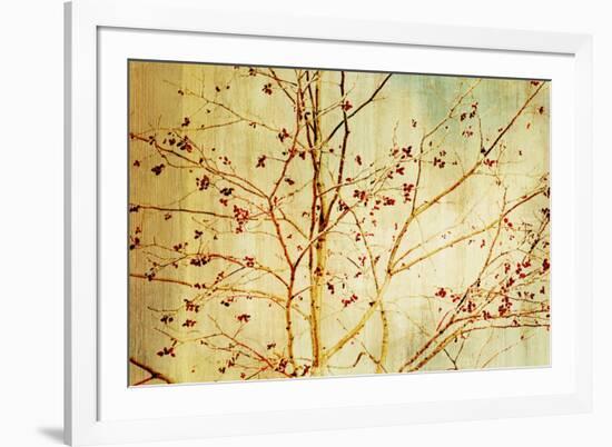 Etched-Andrew Michaels-Framed Art Print