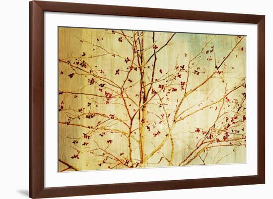 Etched-Andrew Michaels-Framed Art Print